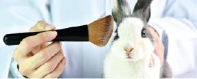 The Reasons You Should Use Vegan And Cruelty-Free Cosmetics